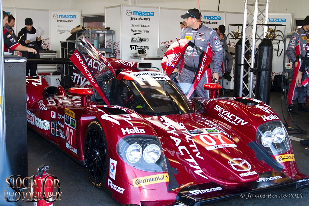 2014Daytona24-IMG_6239-270114.jpg