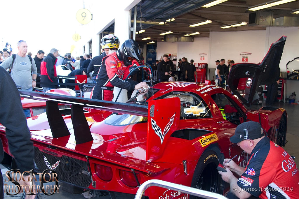 2014Daytona24-IMG_6244-270114.jpg