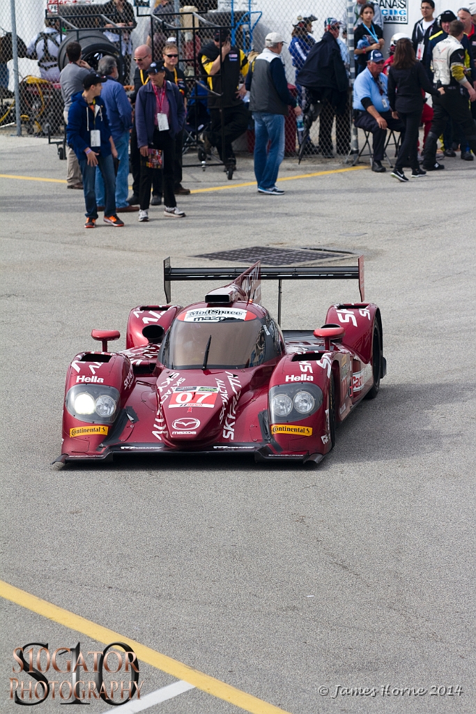 2014Daytona24-IMG_6879-280114.jpg