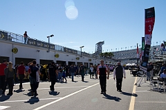 Paddock