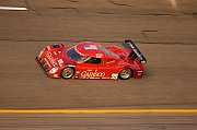 IMG_5817