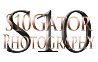 S10Gator Photography