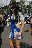 gatornationals_03-15-2008_073