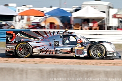 IMG_1349-2022-Sebring