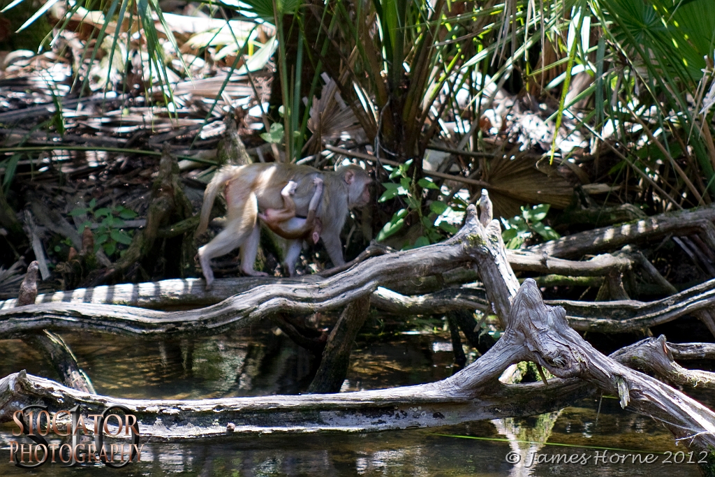 SilverRiver2012-070712-011.JPG