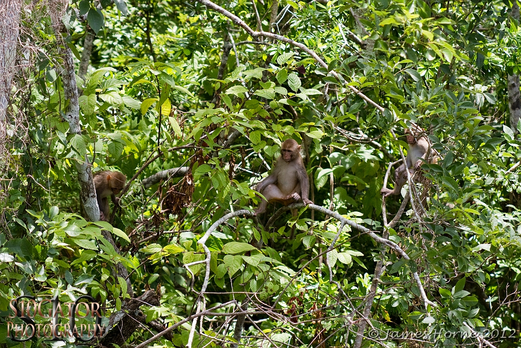 SilverRiver2012-070712-014.JPG