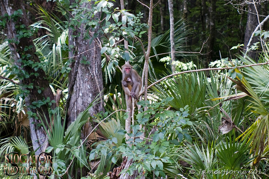 SilverRiver2012-070712-015.JPG