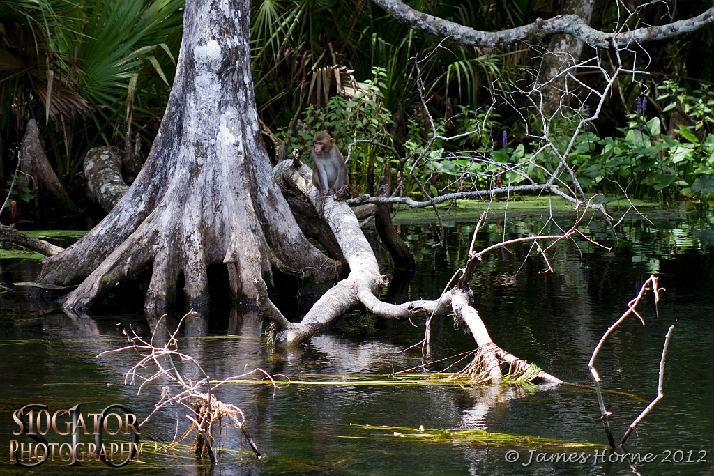 SilverRiver2012-070712-016.JPG